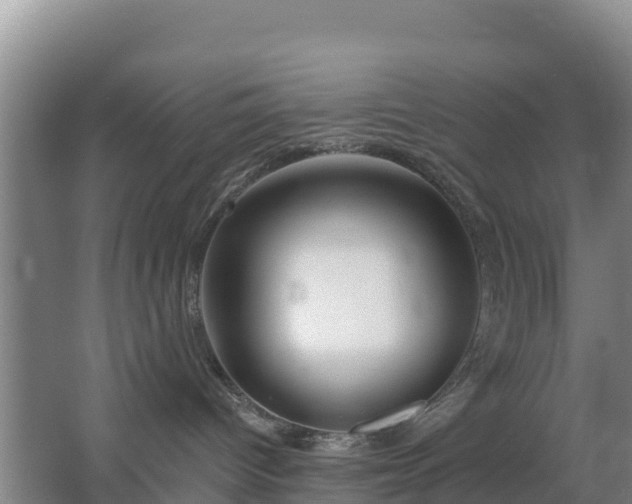 X0000067490096200604150053