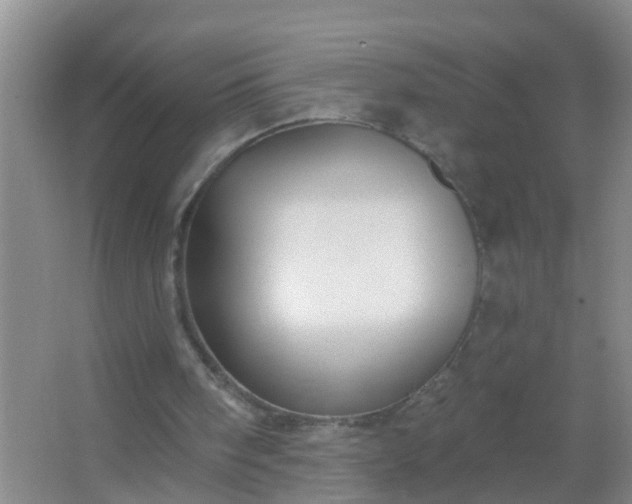 X0000067490098200604150052