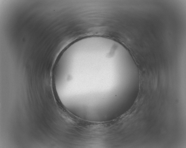 X0000067490100200604150052