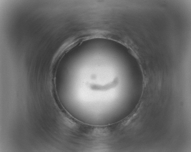 X0000067490101200604150052