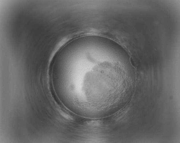 X0000067490102200604150052