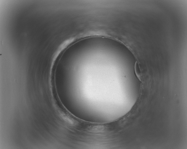 X0000067490104200604150052