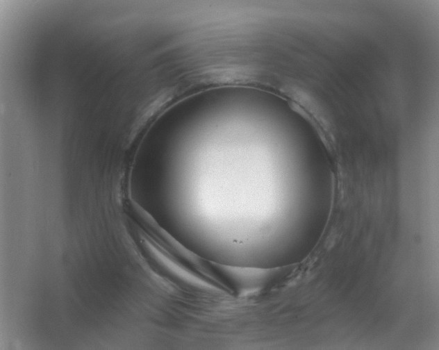 X0000067490105200604150052