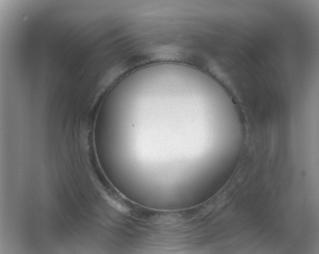 X0000067490106200604150052