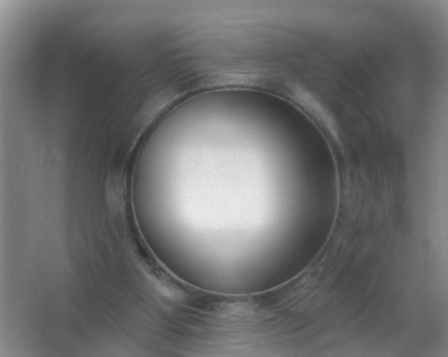 X0000067490107200604150052