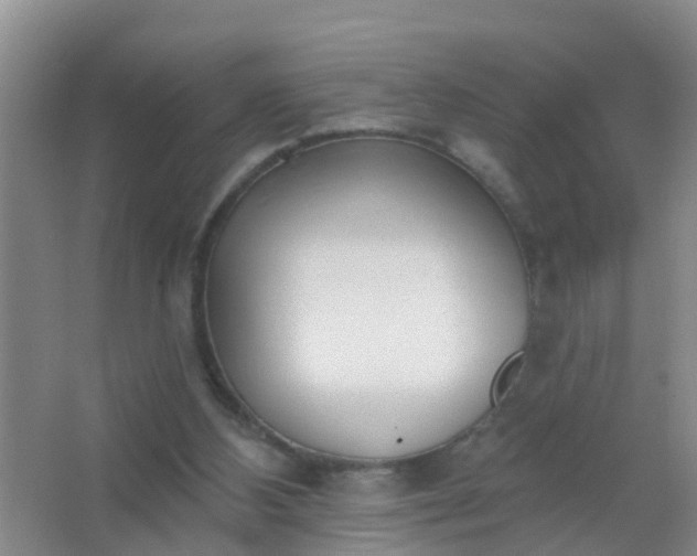 X0000067490108200604150052