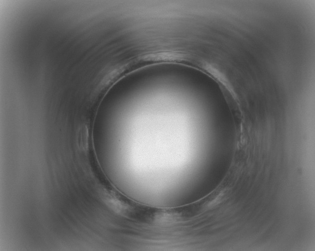 X0000067490109200604150052