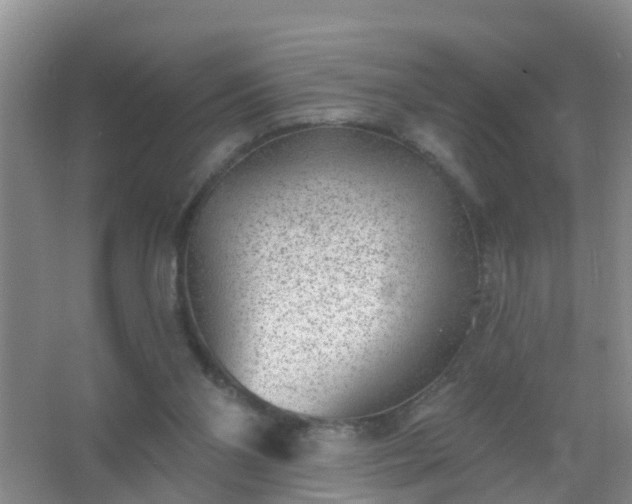 X0000067490110200604150052