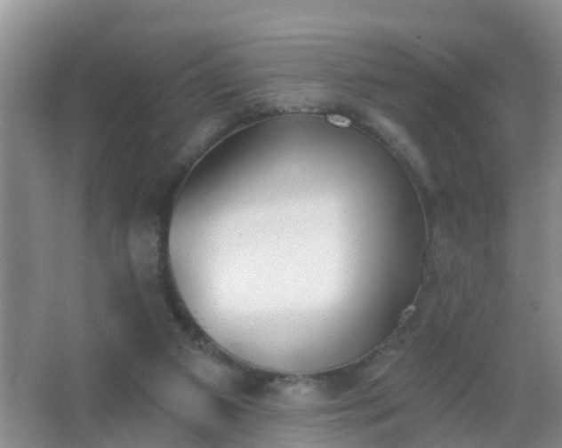 X0000067490113200604150052