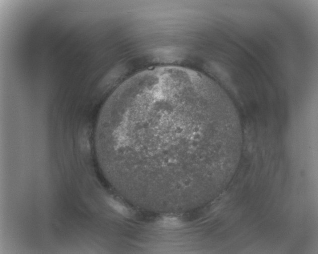 X0000067490114200604150052