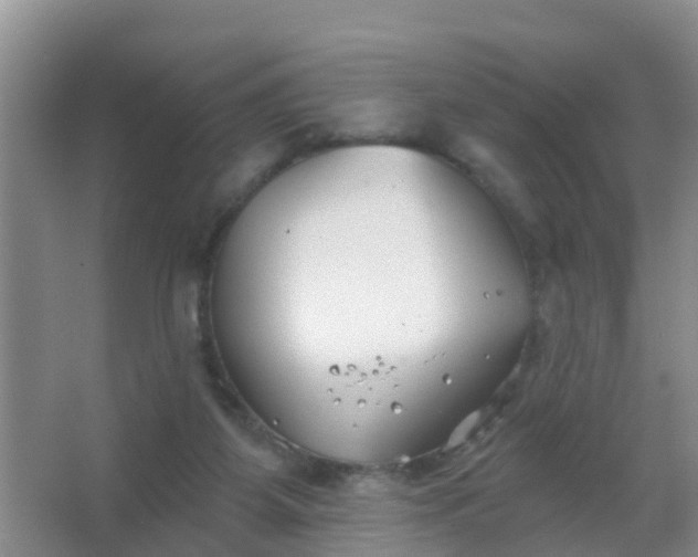 X0000067490115200604150052