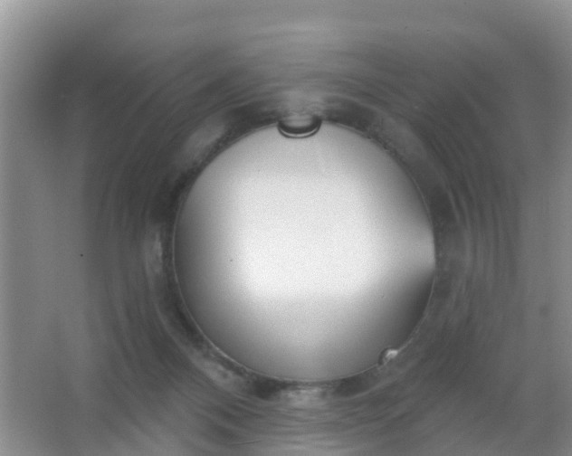 X0000067490120200604150052