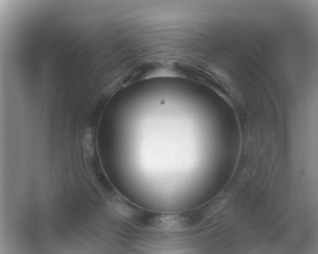 X0000067490121200604150052