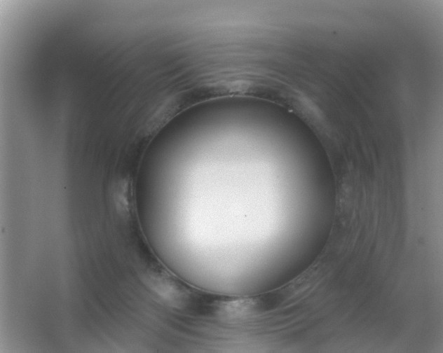 X0000067490122200604150052