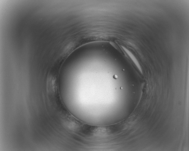 X0000067490123200604150052