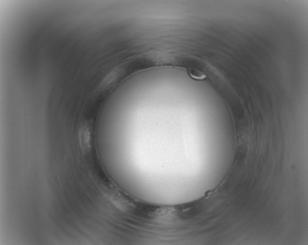 X0000067490124200604150052