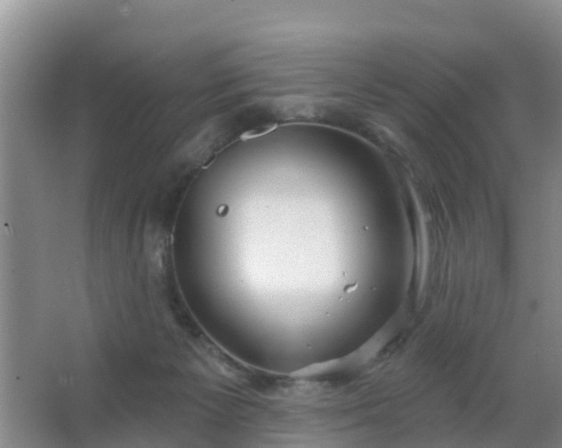 X0000067490125200604150052