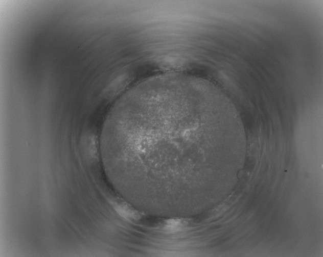 X0000067490130200604150052