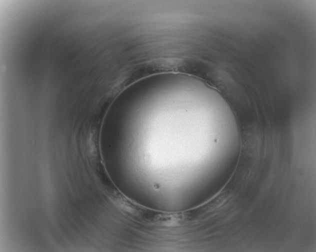 X0000067490131200604150052