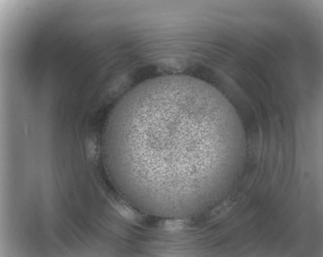 X0000067490134200604150051