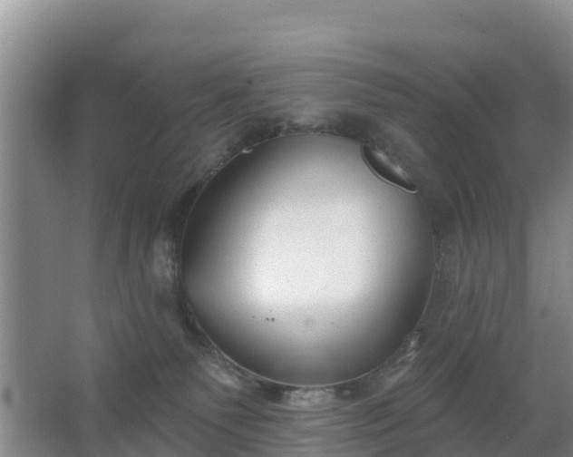 X0000067490135200604150051