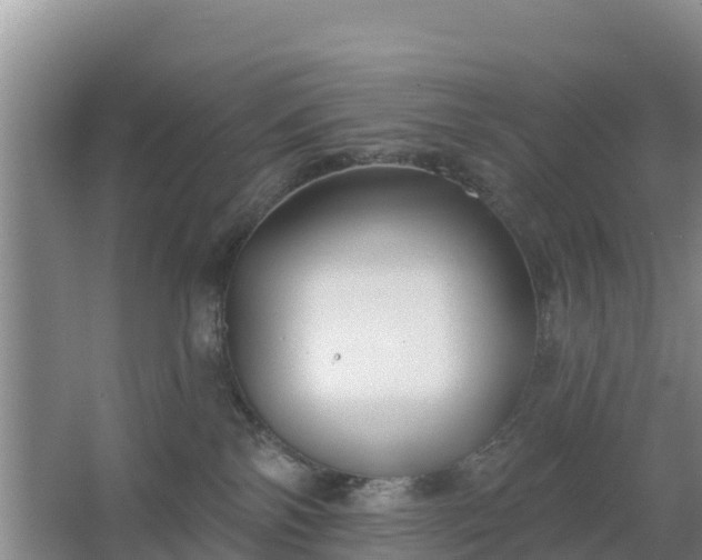 X0000067490138200604150051