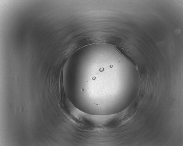 X0000067490141200604150051