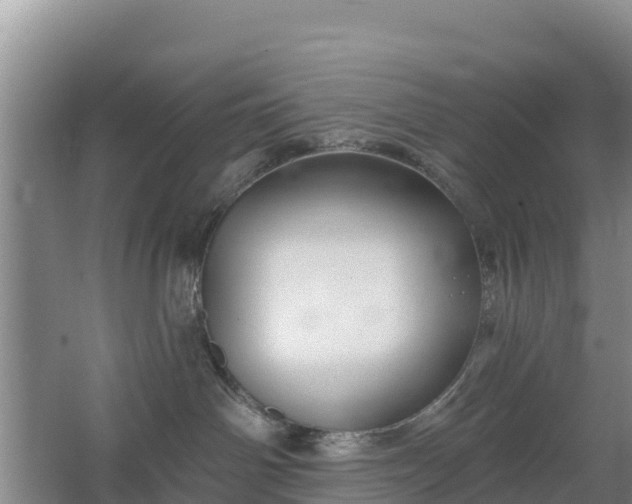 X0000067490142200604150051