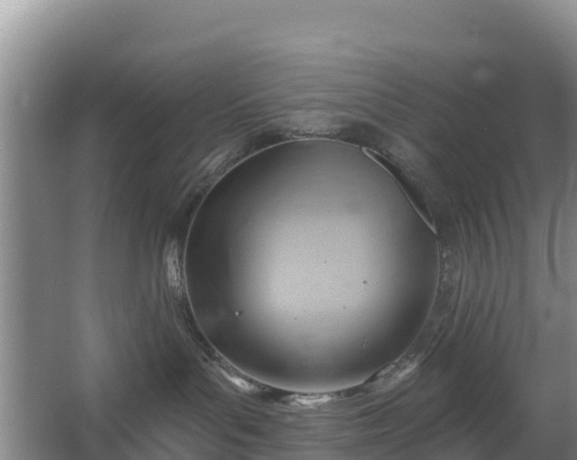 X0000067490143200604150051