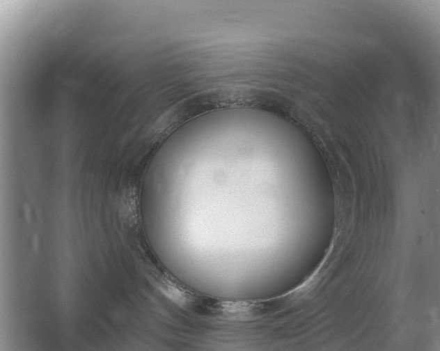 X0000067490144200604150051