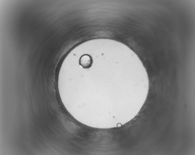 X0000067490146200604150051