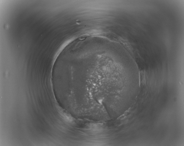 X0000067490147200604150051