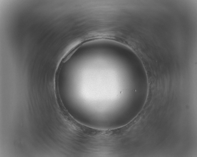 X0000067490148200604150051