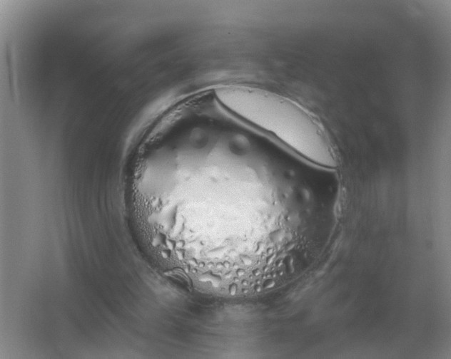 X0000067490149200604150051