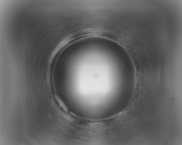 X0000067490150200604150051