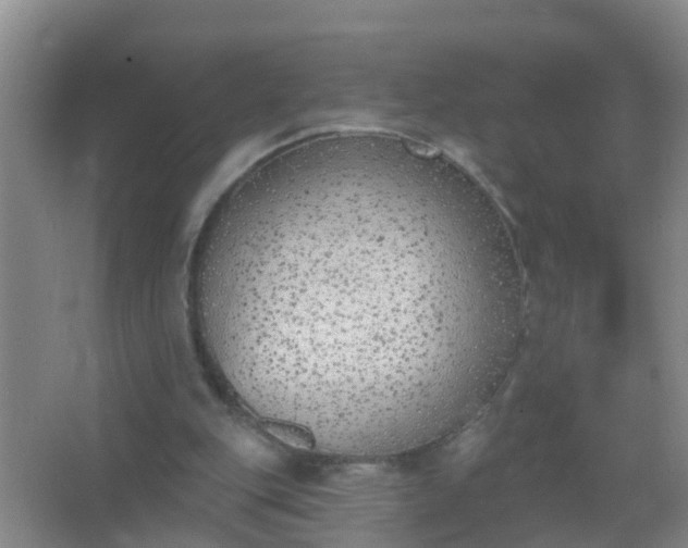 X0000067490151200604150051