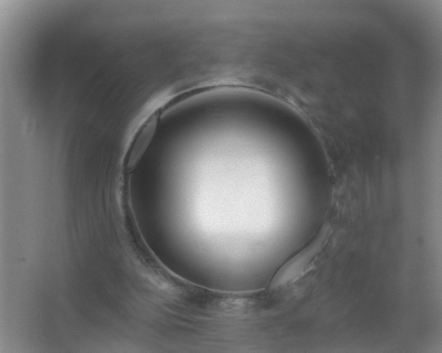 X0000067490152200604150051