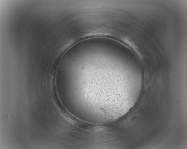 X0000067490153200604150051