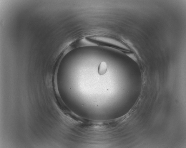 X0000067490154200604150051