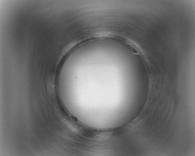 X0000067490155200604150051