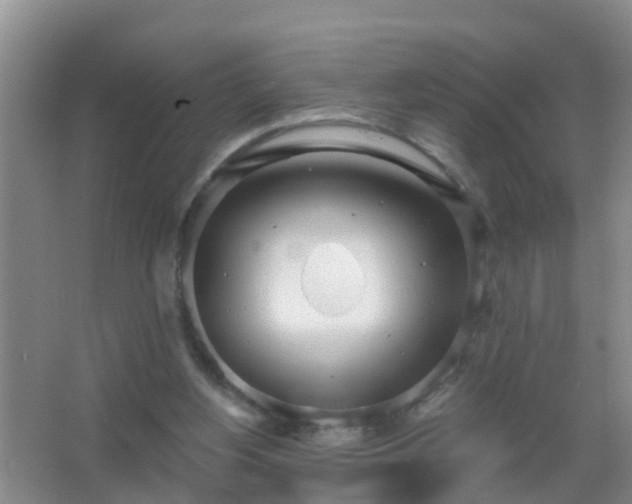 X0000067490156200604150051