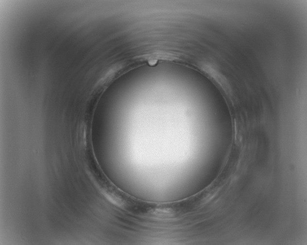 X0000067490157200604150051