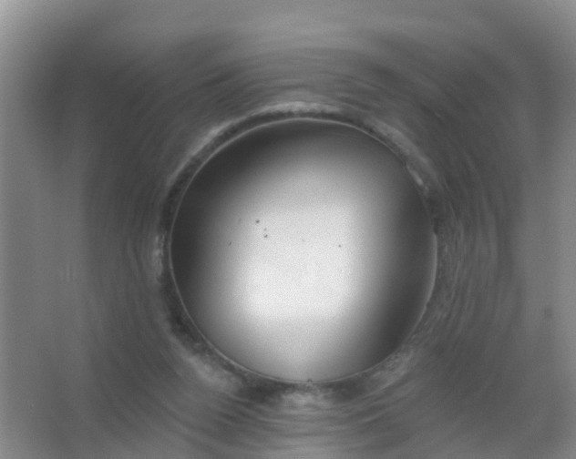 X0000067490160200604150051