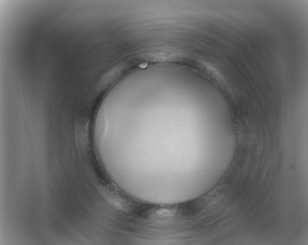 X0000067490163200604150051