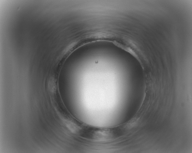 X0000067490164200604150051