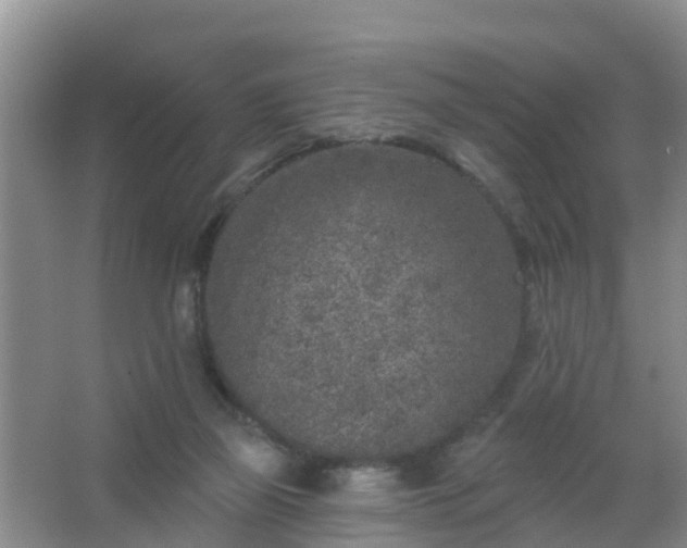 X0000067490165200604150051