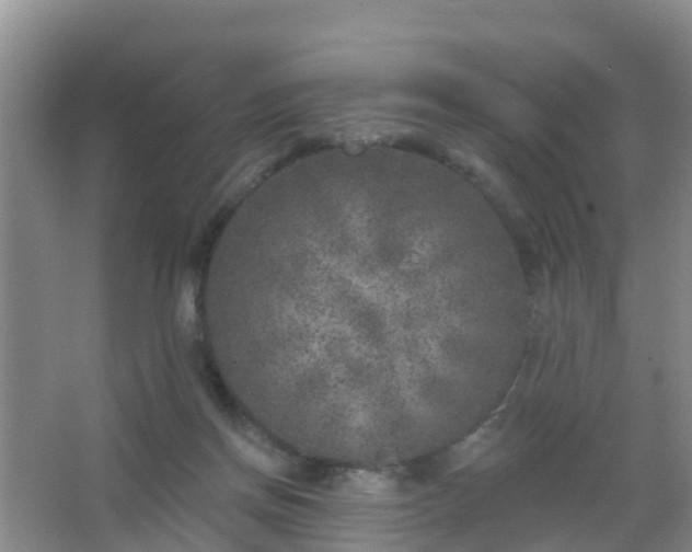 X0000067490166200604150051