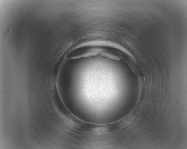 X0000067490168200604150051