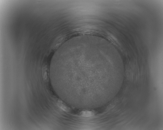 X0000067490169200604150051