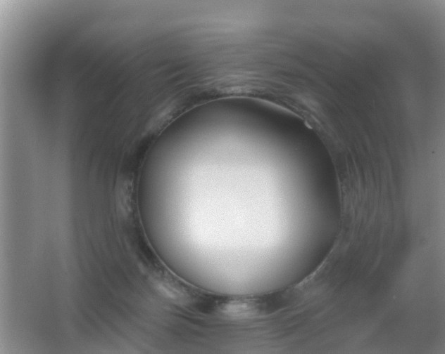 X0000067490171200604150051